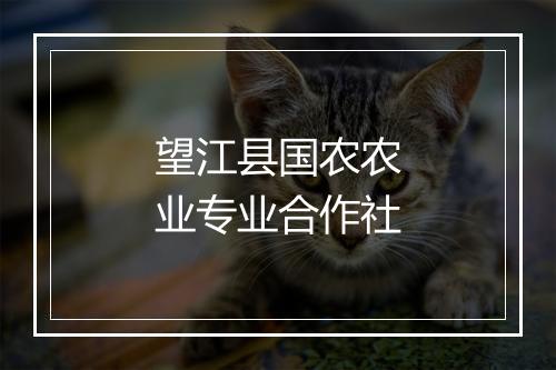 望江县国农农业专业合作社