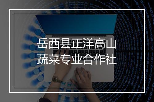 岳西县正洋高山蔬菜专业合作社