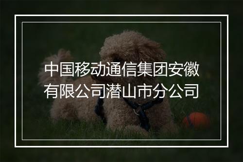中国移动通信集团安徽有限公司潜山市分公司