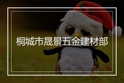 桐城市晟景五金建材部