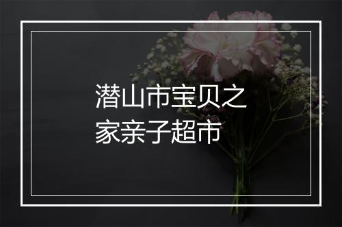 潜山市宝贝之家亲子超市