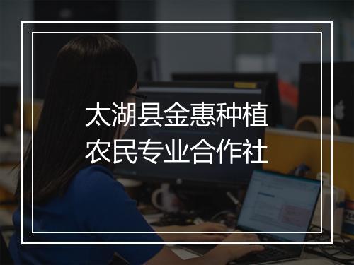 太湖县金惠种植农民专业合作社