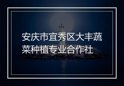 安庆市宜秀区大丰蔬菜种植专业合作社