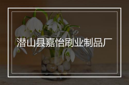 潜山县嘉怡刷业制品厂