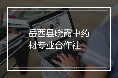 岳西县晓霞中药材专业合作社