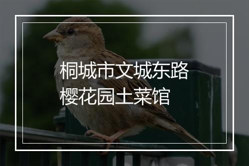 桐城市文城东路樱花园土菜馆
