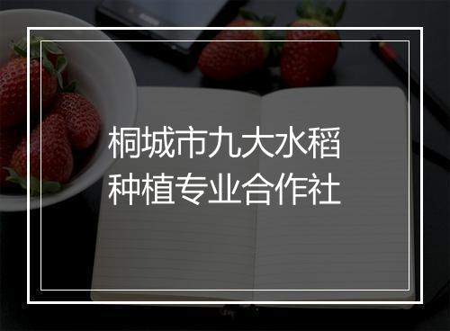 桐城市九大水稻种植专业合作社