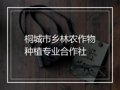 桐城市乡林农作物种植专业合作社