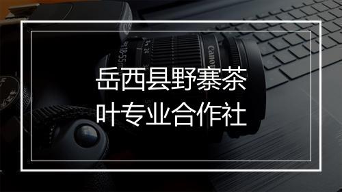 岳西县野寨茶叶专业合作社