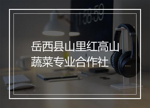 岳西县山里红高山蔬菜专业合作社