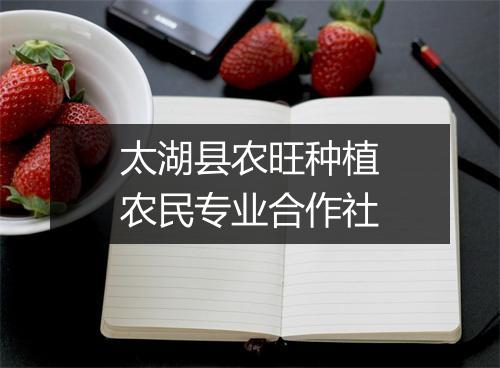 太湖县农旺种植农民专业合作社
