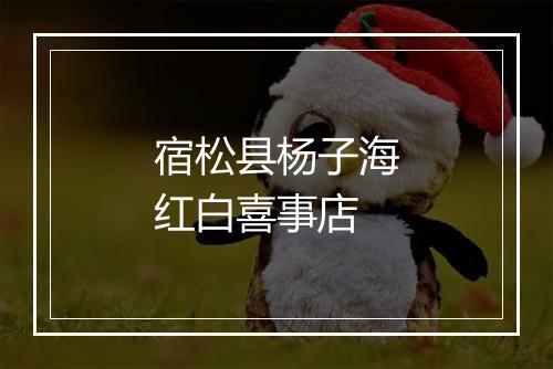 宿松县杨子海红白喜事店