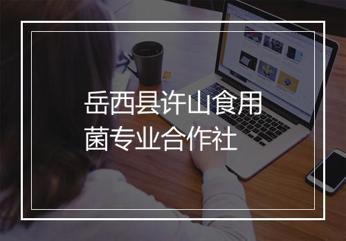 岳西县许山食用菌专业合作社