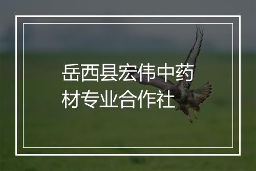 岳西县宏伟中药材专业合作社