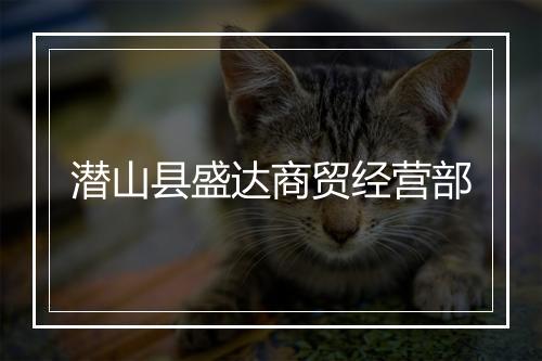 潜山县盛达商贸经营部