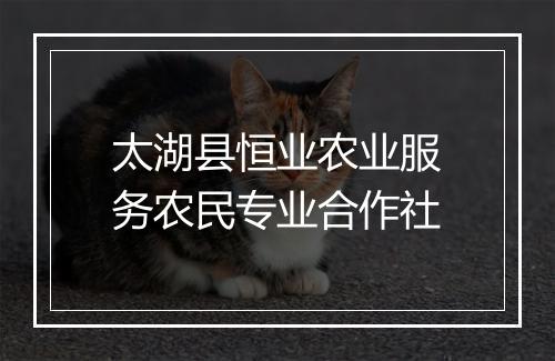 太湖县恒业农业服务农民专业合作社