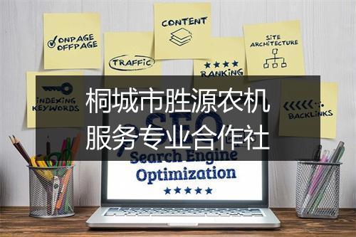 桐城市胜源农机服务专业合作社
