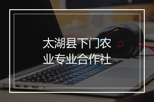 太湖县下门农业专业合作社