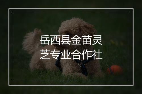 岳西县金苗灵芝专业合作社