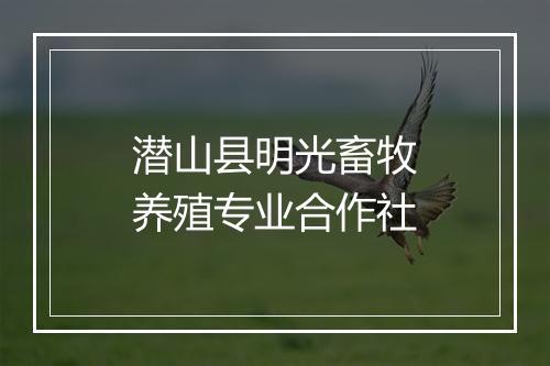 潜山县明光畜牧养殖专业合作社