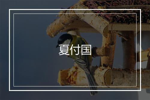 夏付国