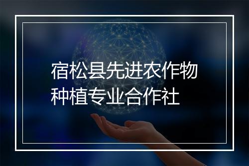 宿松县先进农作物种植专业合作社
