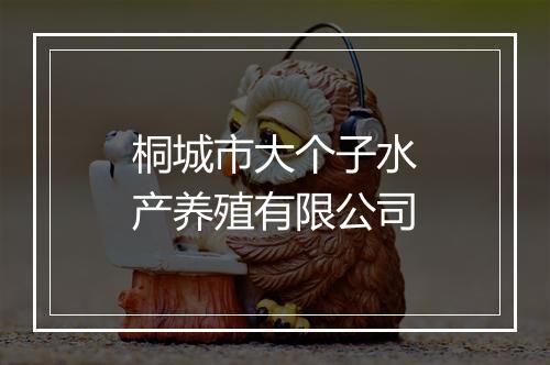 桐城市大个子水产养殖有限公司