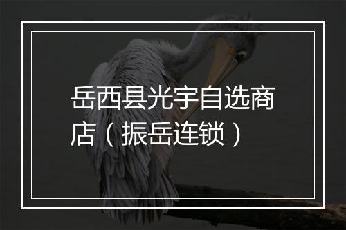 岳西县光宇自选商店（振岳连锁）