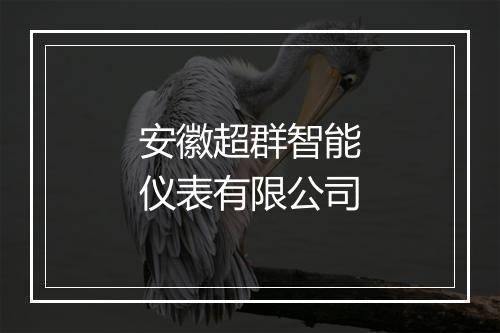安徽超群智能仪表有限公司
