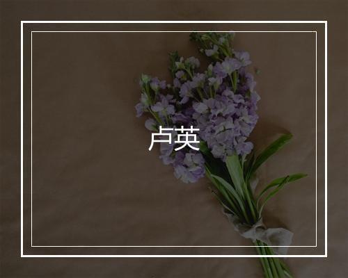卢英