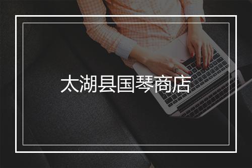 太湖县国琴商店
