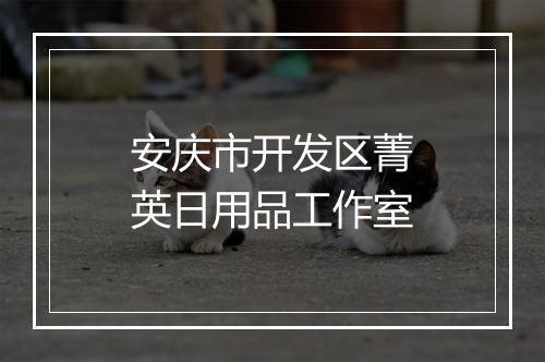安庆市开发区菁英日用品工作室