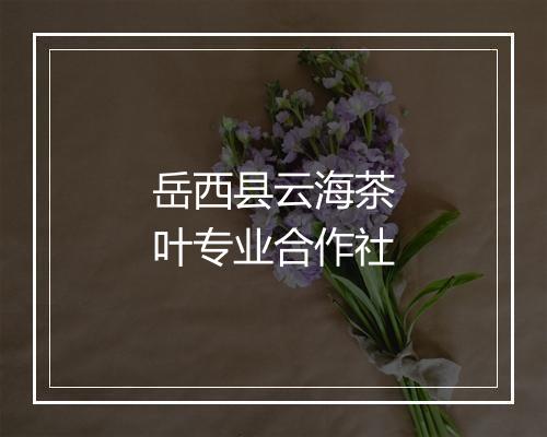 岳西县云海茶叶专业合作社