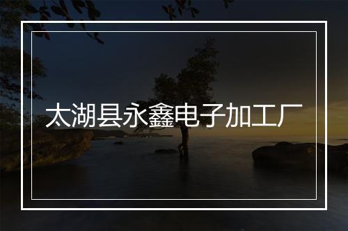 太湖县永鑫电子加工厂