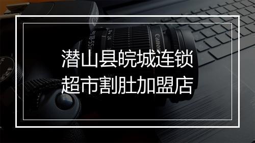 潜山县皖城连锁超市割肚加盟店