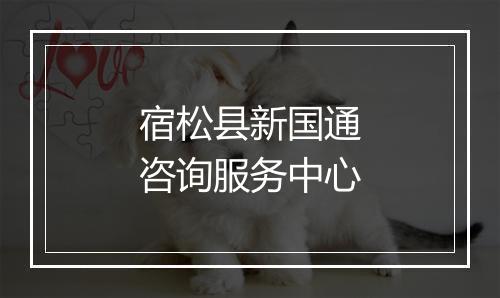 宿松县新国通咨询服务中心
