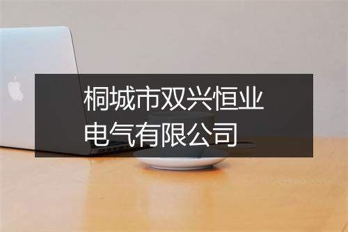 桐城市双兴恒业电气有限公司