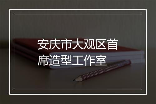 安庆市大观区首席造型工作室