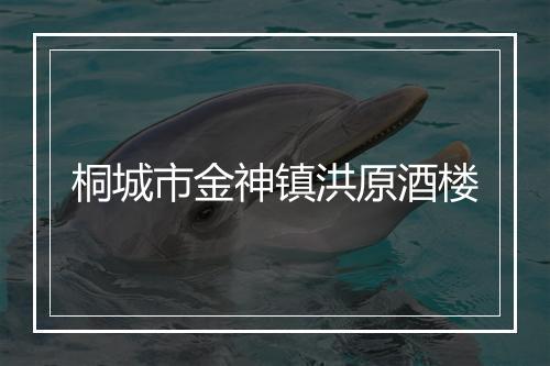 桐城市金神镇洪原酒楼