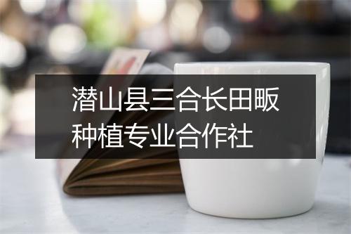 潜山县三合长田畈种植专业合作社