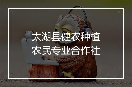 太湖县健农种植农民专业合作社