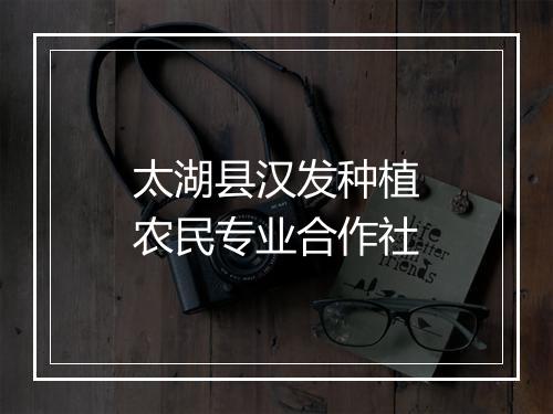 太湖县汉发种植农民专业合作社
