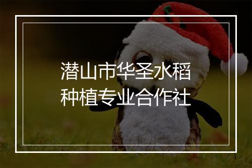 潜山市华圣水稻种植专业合作社