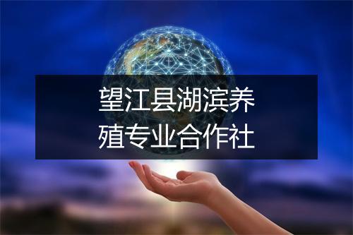 望江县湖滨养殖专业合作社
