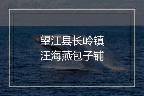 望江县长岭镇汪海燕包子铺