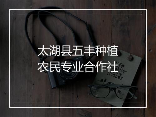 太湖县五丰种植农民专业合作社