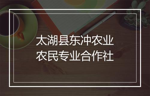 太湖县东冲农业农民专业合作社