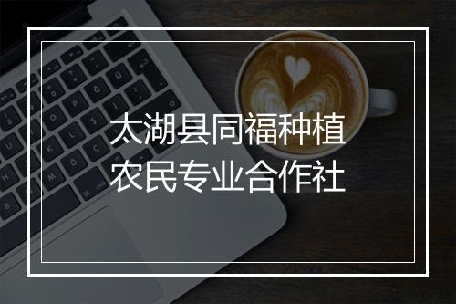 太湖县同福种植农民专业合作社