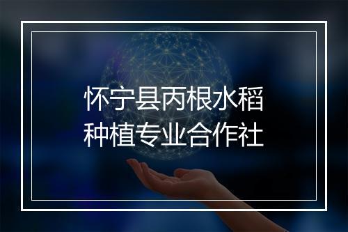 怀宁县丙根水稻种植专业合作社