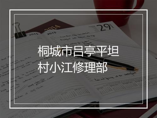 桐城市吕亭平坦村小江修理部